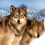 野狼模拟器猎人 3D App