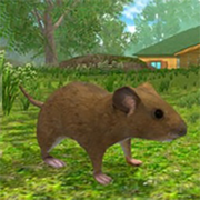 老鼠模拟器3D App