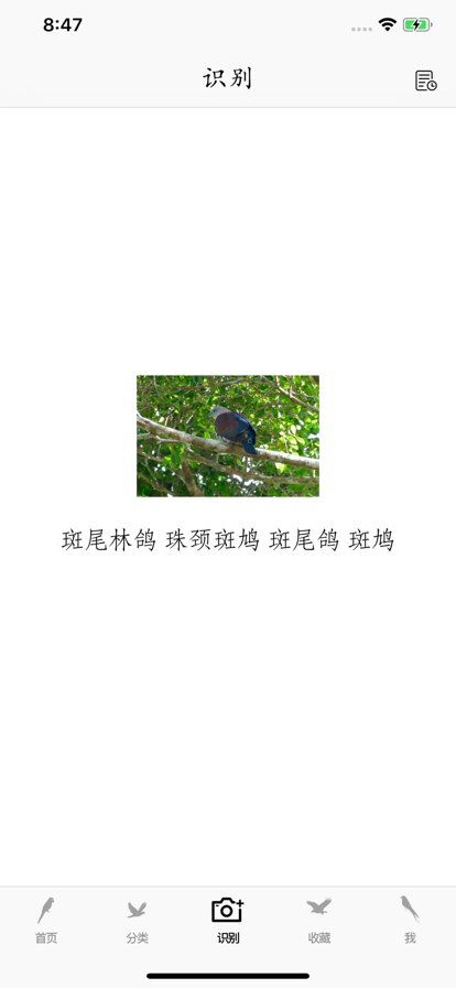 鸟类百科app-拍照识鸟下载效果预览图