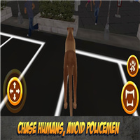 愤怒美洲狮市攻击模拟器App下载效果预览图