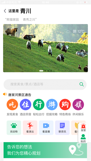 智游青川App下载效果预览图